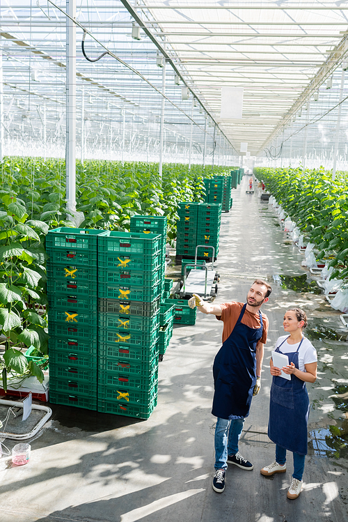 african american farmer with digital tablet near colleague pointing with finger in greenhouse