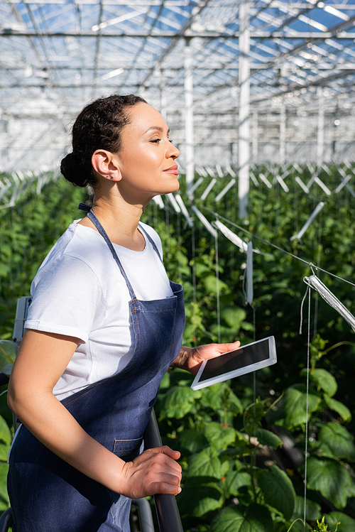 african american farmer with digital tablet looking away in greenhouse