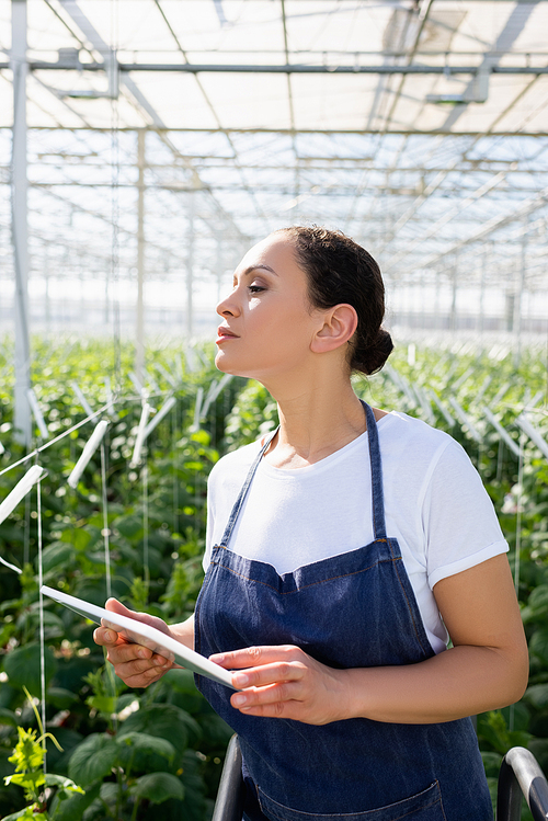 african american farmer holding digital tablet while looking away in glasshouse