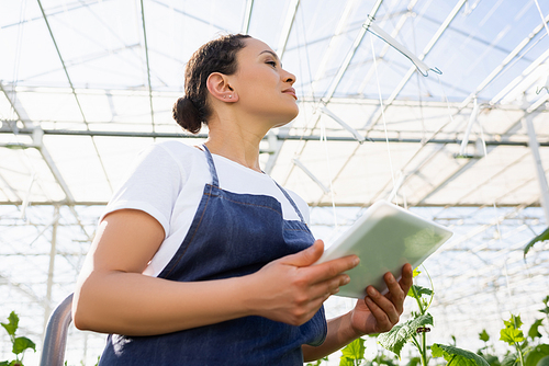 low angle view of african american farmer looking away while holding digital tablet in greenhouse