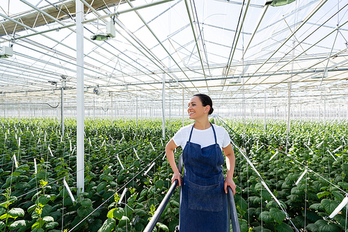 joyful african american farmer smiling while looking away in greenhouse