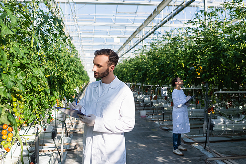 quality inspector writing on clipboard near tomato plants and colleague on blurred background