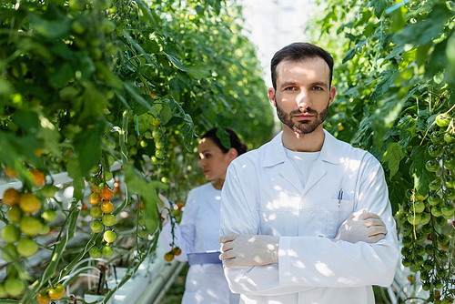 quality inspector in white coat  while african american colleague working on blurred background