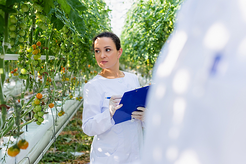 african american quality inspector writing on clipboard near tomato plants, blurred foreground