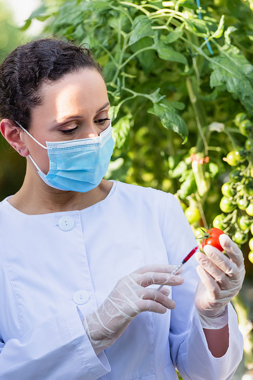 african american quality inspector in medical mask examining tomato with syringe