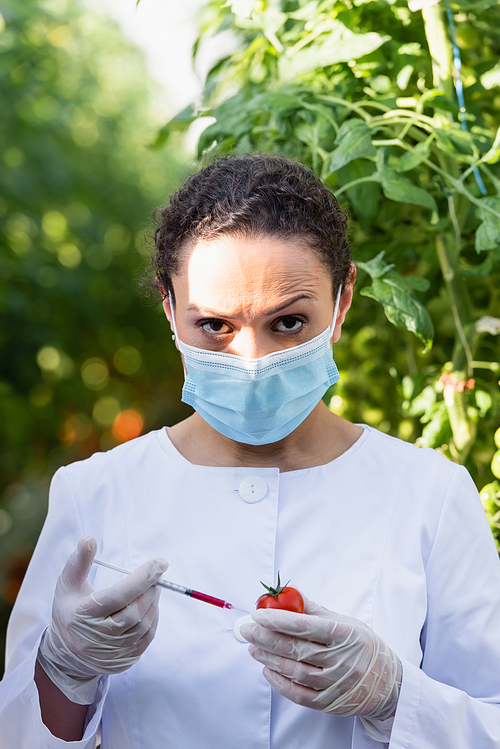 african american quality inspector in medical mask making test of tomato with syringe