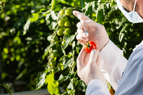 partial view of quality inspector in medical mask testing tomato with syringe