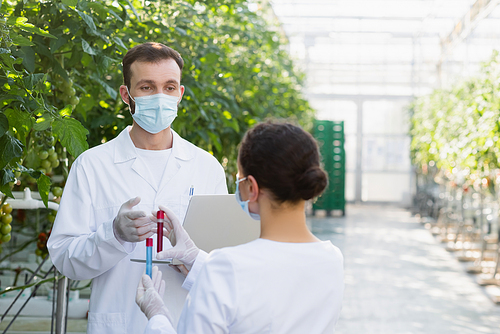 agricultural technologist in medical mask talking to african american colleague with test tubes