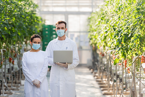 multiethnic agricultural technologists in medical masks and white coats  in greenhouse