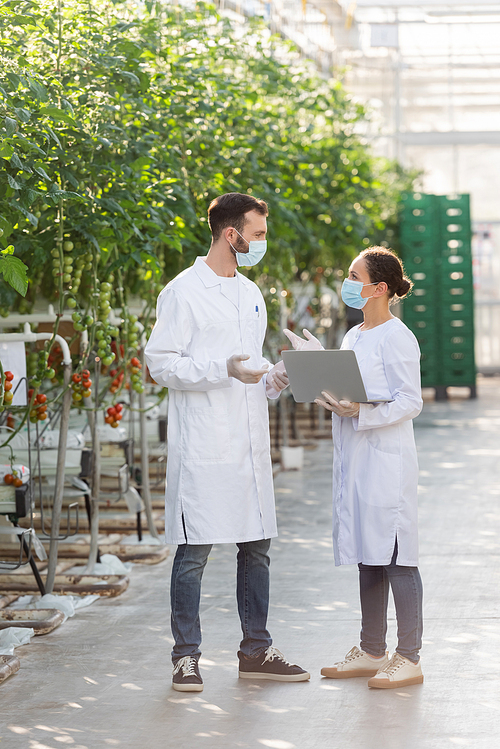 multiethnic agricultural technologists in medical masks gesturing while talking in greenhouse