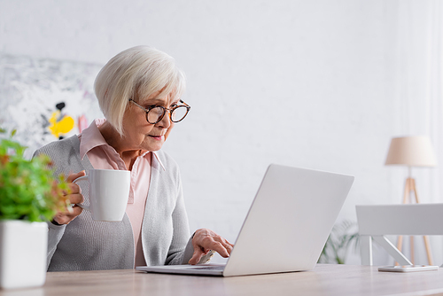 Senior woman with cup using laptop near blurred plant