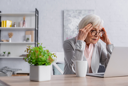 Focused elderly woman looking at laptop near cup and blurred plant