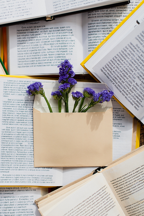 top view of purple blooming flowers in envelope on pile of books
