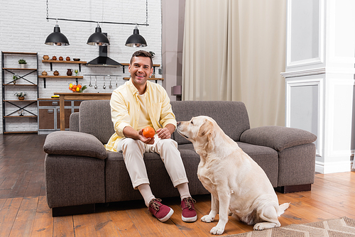cheerful man sitting on couch and holding toy ball near labrador dog