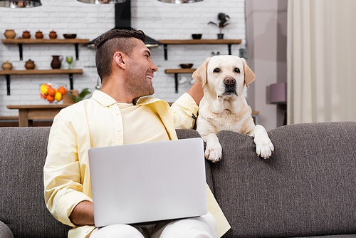 labrador dog near joyful freelancer sitting on couch with laptop