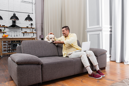 joyful freelancer having fun with labrador while sitting on sofa with laptop