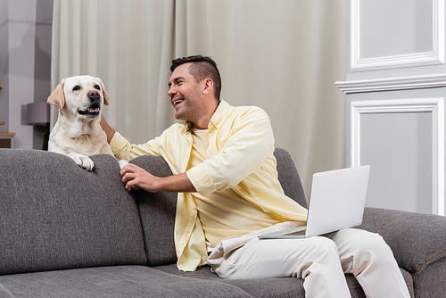 cheerful freelancer petting labrador while sitting on couch with laptop