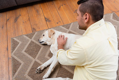 overhead view of man petting labrador dog lying on carpet at home