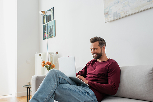 smiling man sitting on sofa and typing on laptop