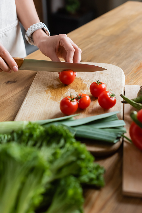 partial view of female hands cutting cherry tomatoes on chopping board in modern kitchen