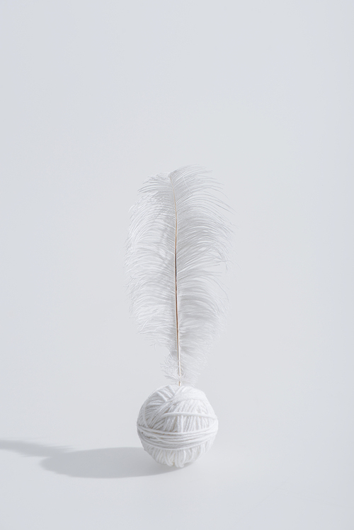 lightweight and soft feather near ball of thread isolated on white