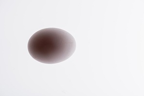 bottom view of raw and organic egg isolated on white
