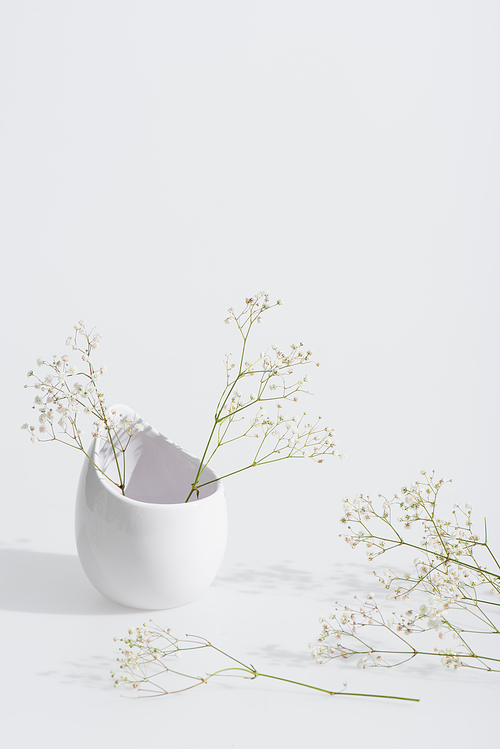 branches with blooming flowers in vase on white background