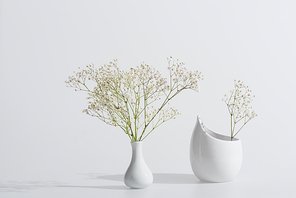branches with blooming flowers in vases on white background