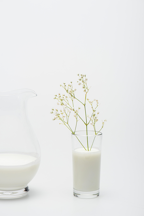 branch with blooming flowers in glass with milk near jug on white