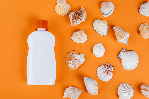 top view of seashells near white bottle of sunscreen on orange surface