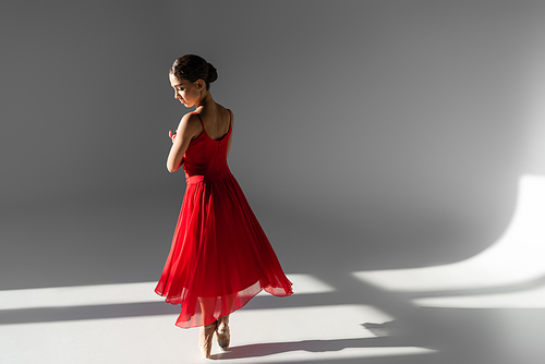 Side view of professional ballerina dancing in red dress on grey background with sunlight