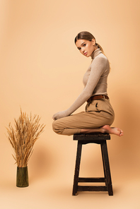 trendy barefoot woman in trousers and pants posing on stool near spikelets on beige background