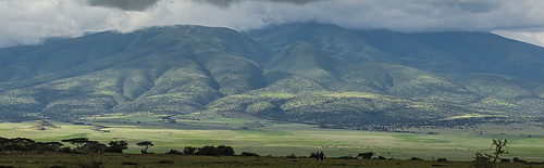 scenic view of green trees near hill, banner