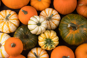many various pumpkins background,  or thanksgiving day concept