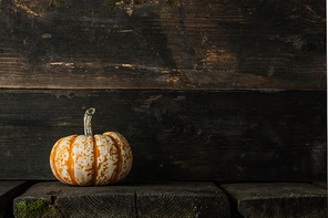 one striped orange pumpkin on dark wooden background,  concept