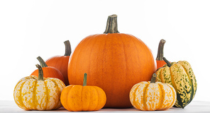 Group of various kinds of pumpkins isolated on white background