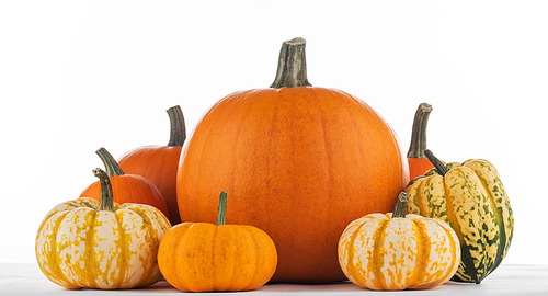 Group of various kinds of pumpkins isolated on white