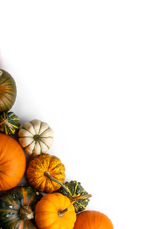 many colorful pumpkins frame isolated on white, autumn harvest,  or thanksgiving concept