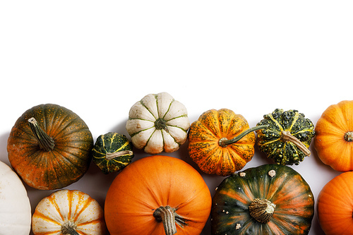 many colorful pumpkins frame isolated on white, autumn harvest ,  or thanksgiving concept