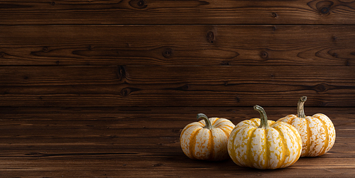 three striped yellow pumpkins on dark wooden background ,  concept
