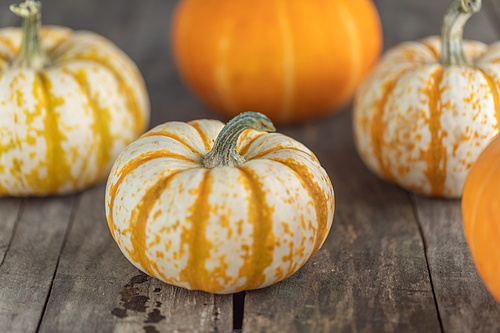 many orange pumpkins on wooden background ,  or thanksgiving day concept