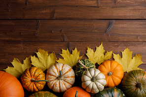 many colorful pumpkins and maple leaves frame on wooden background , autumn harvest ,  or thanksgiving concept