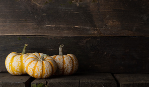 three striped yellow pumpkins on old dark wooden background ,  concept , copy space for text