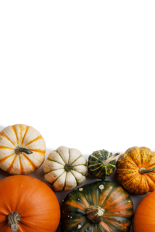 many orange pumpkins isolated on white ,  concept , top view with copy space