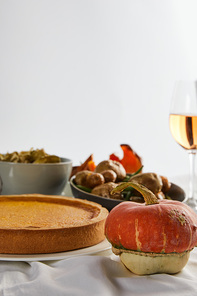 pumpkin pie, baked vegetables and whole pumpkin isolated on grey