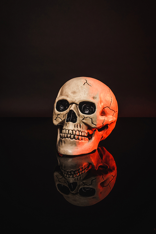 red lighting on aged and creepy skull on black