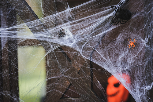 close up view of spider net with toy spiders on wooden fence decorated for halloween