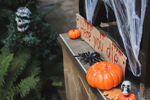 carton card with here you die lettering near orange pumpkins, skull and toy spider on porch