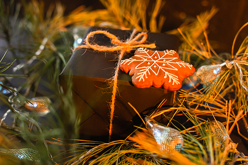 wrapped black present with gingerbread cookie near green branches with garland