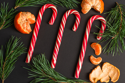 top view of striped candy canes near peeled tangerines and fir branches on black
